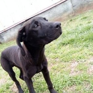 Meet your Posher, Diamond